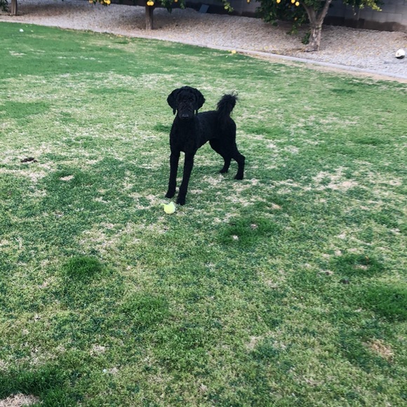 Meet your Posher, Kathleen - Picture 1 of 1